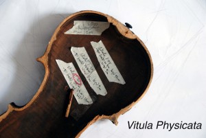 ViolinPic_Title